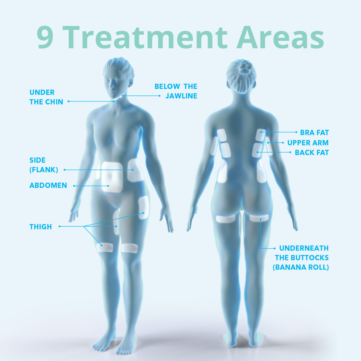 Freeze the Fat in 9 treatment areas